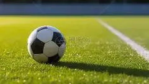 澳门美高梅赌场